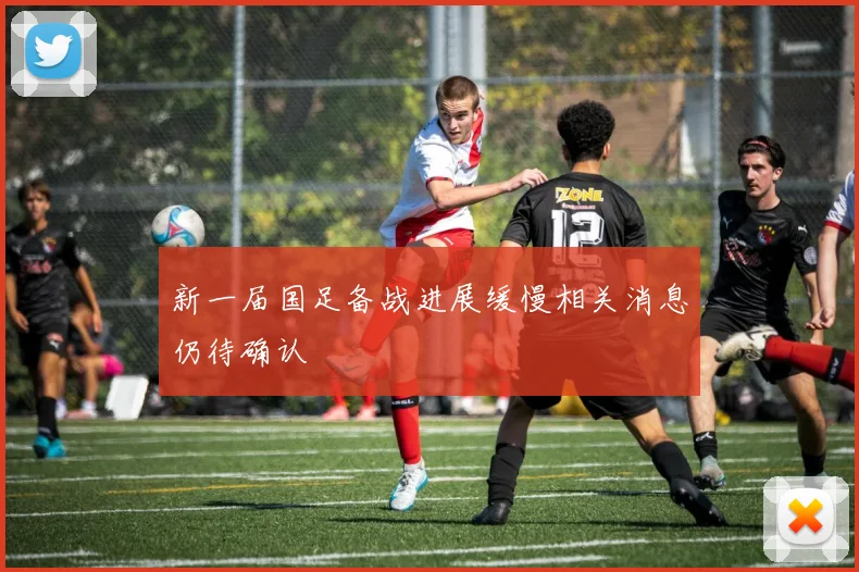 新一届国足备战进展缓慢相关消息仍待确认