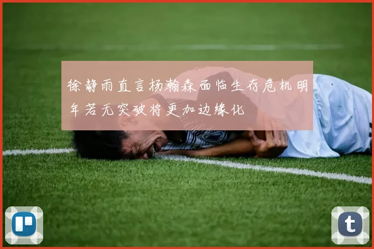 徐静雨直言杨瀚森面临生存危机明年若无突破将更加边缘化