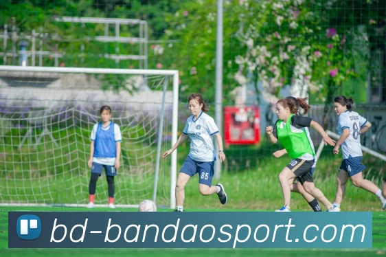 半岛足球体育APP 封面图