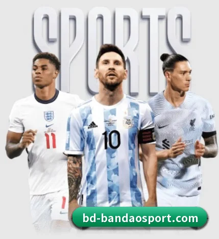 本站五个常用功能入口,赛程查询路径更短（bandao）