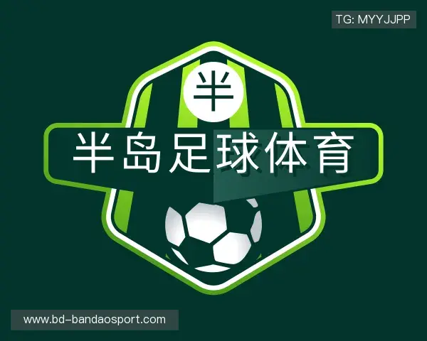 介绍半岛体育